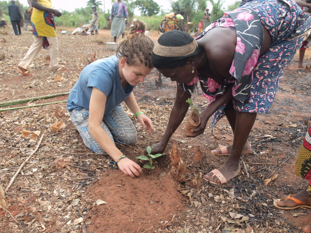 Bénin ADeD plantation 01