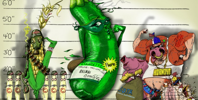 Le Tribunal de l’Abominable Courgette Masquée