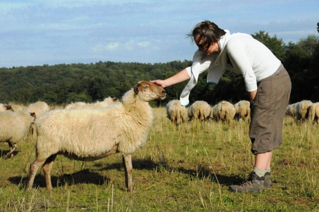 jambjoule-2011-133